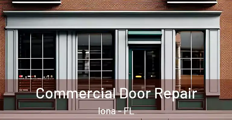  Commercial Door Repair Iona - FL