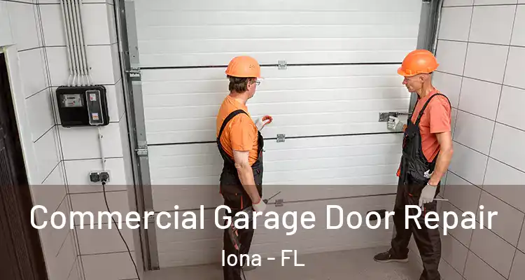  Commercial Garage Door Repair Iona - FL