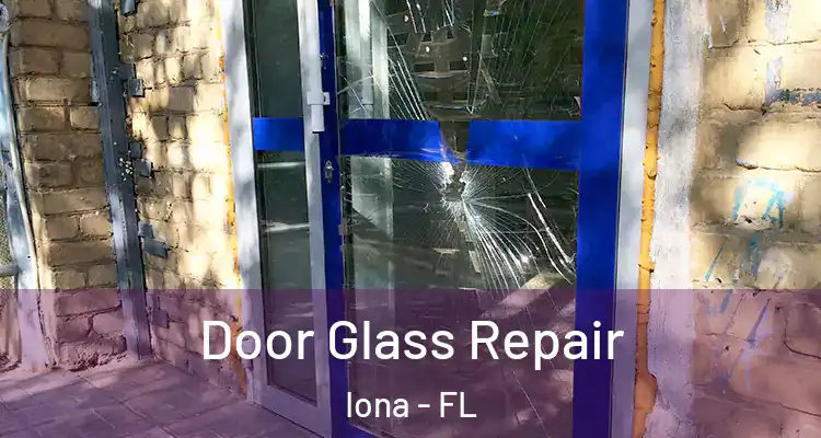  Door Glass Repair Iona - FL