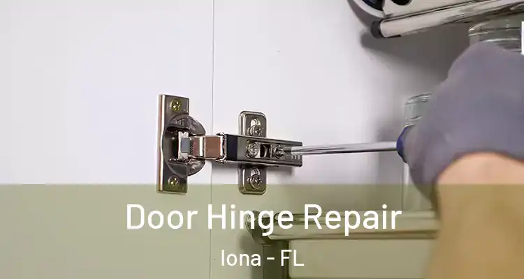 Door Hinge Repair Iona - FL