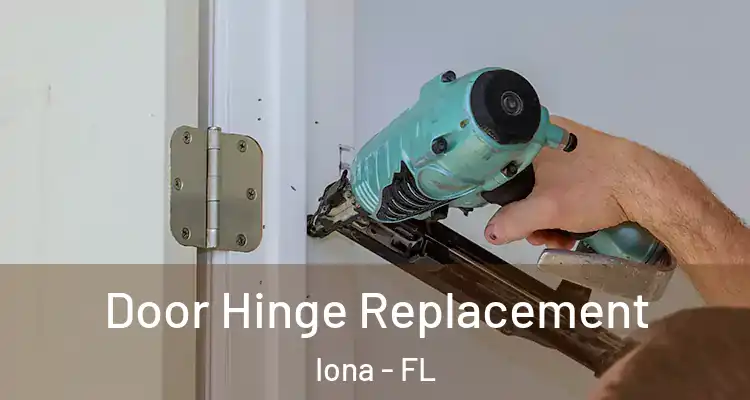  Door Hinge Replacement Iona - FL
