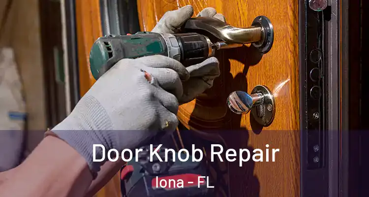  Door Knob Repair Iona - FL