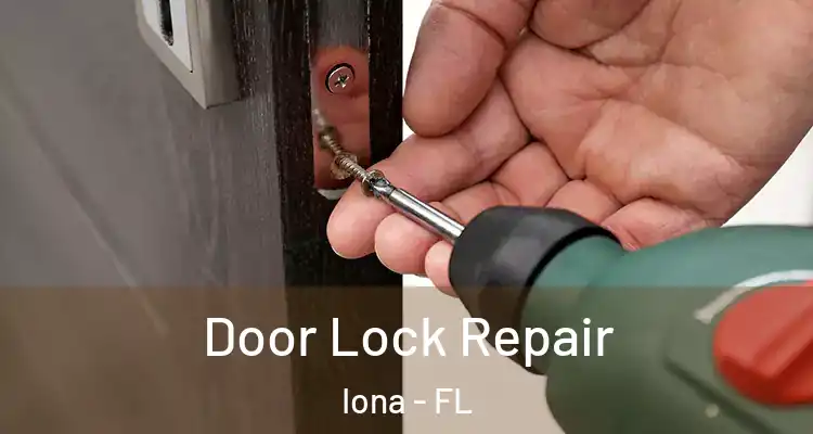  Door Lock Repair Iona - FL