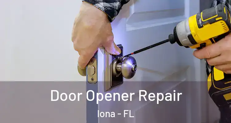  Door Opener Repair Iona - FL