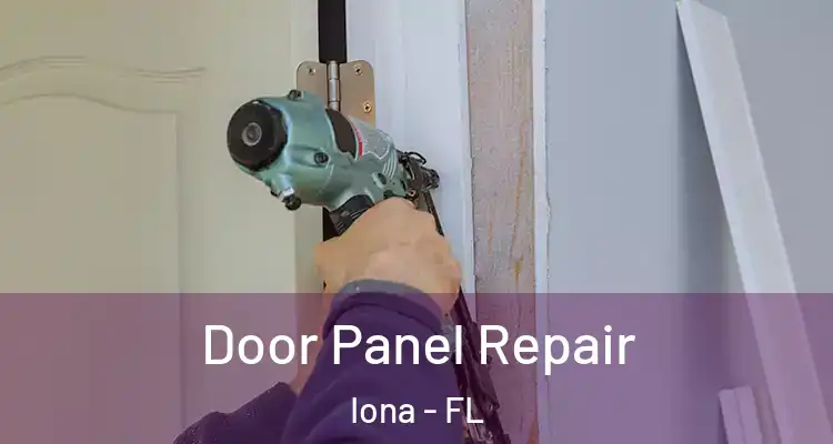  Door Panel Repair Iona - FL