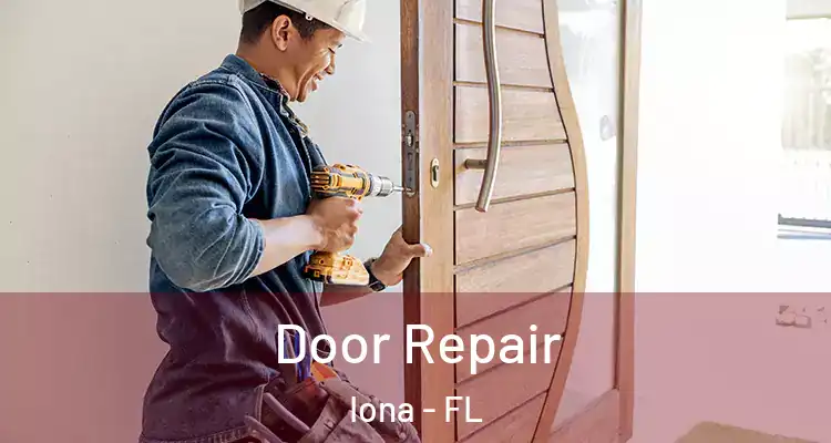  Door Repair Iona - FL