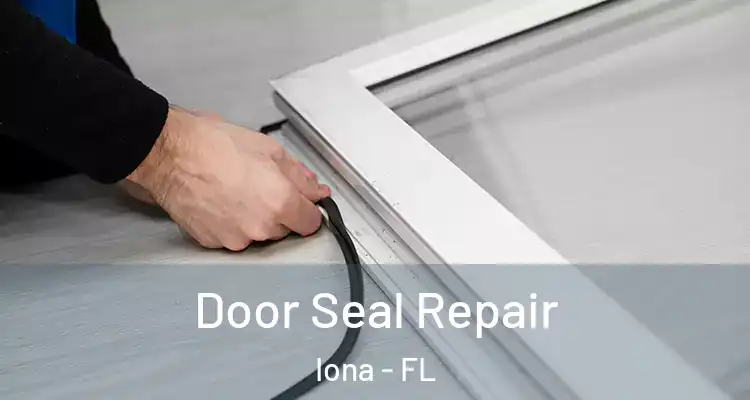  Door Seal Repair Iona - FL