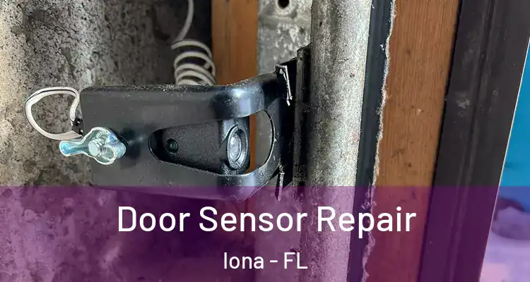  Door Sensor Repair Iona - FL