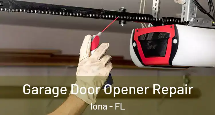  Garage Door Opener Repair Iona - FL