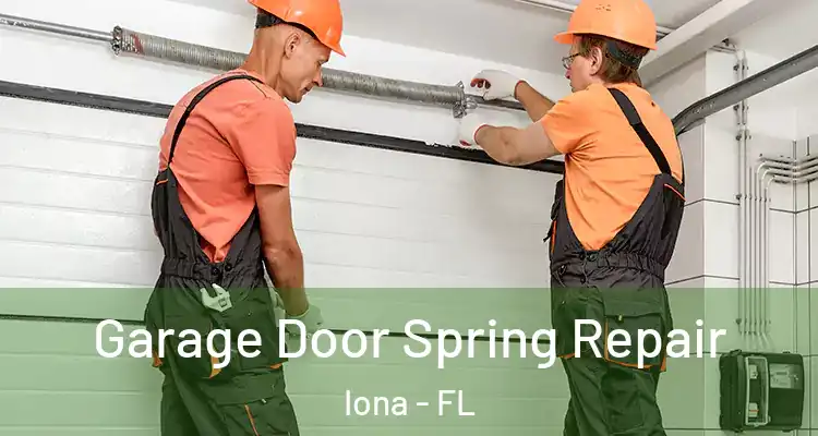  Garage Door Spring Repair Iona - FL