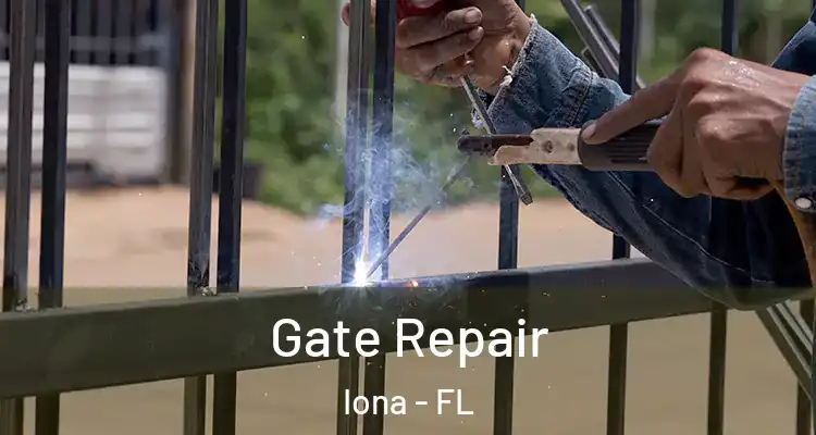  Gate Repair Iona - FL