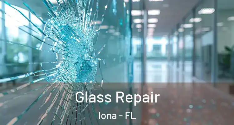  Glass Repair Iona - FL