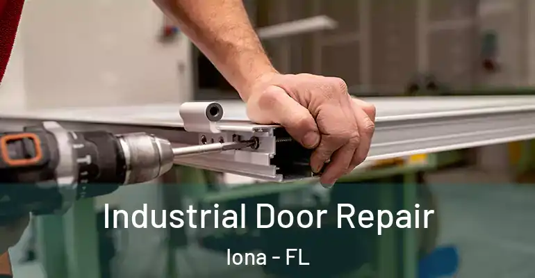  Industrial Door Repair Iona - FL