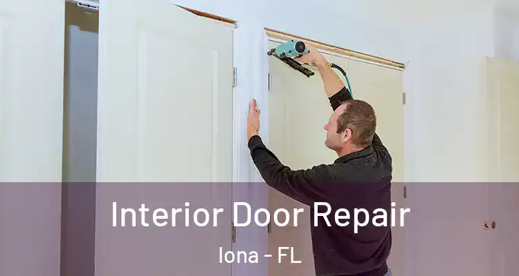  Interior Door Repair Iona - FL