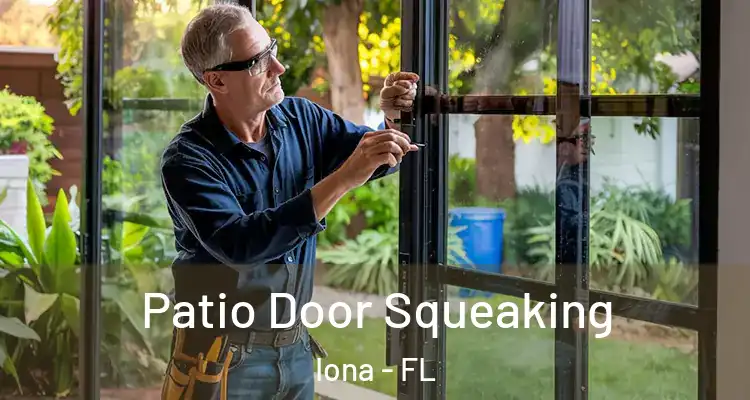  Patio Door Squeaking Iona - FL