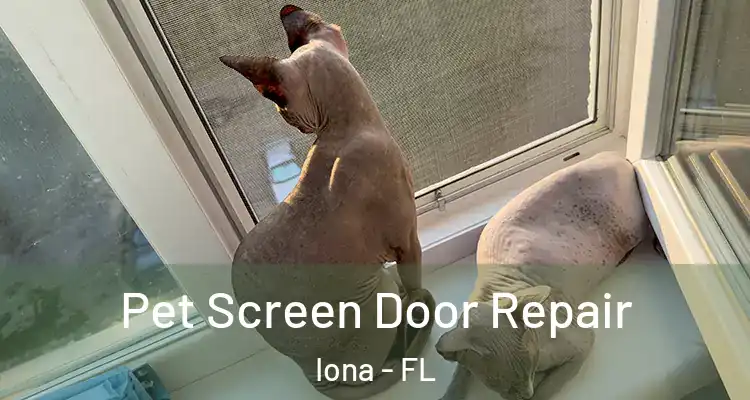  Pet Screen Door Repair Iona - FL