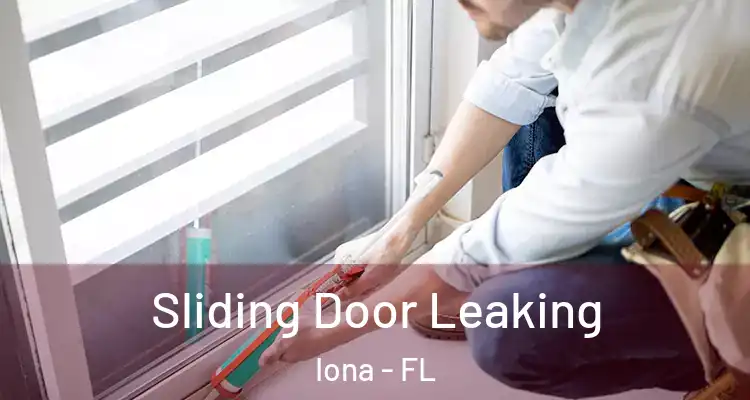  Sliding Door Leaking Iona - FL