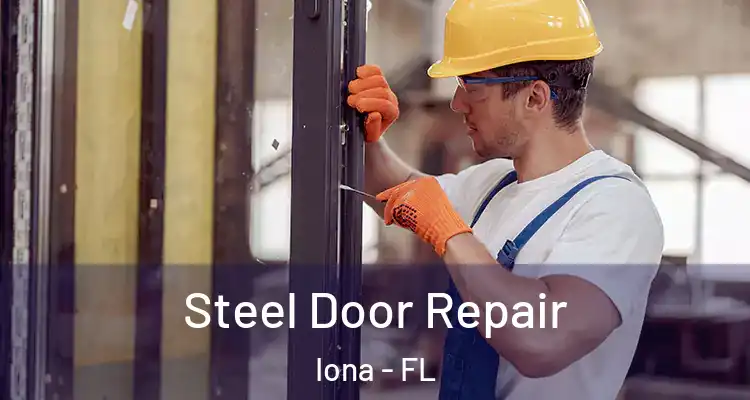  Steel Door Repair Iona - FL