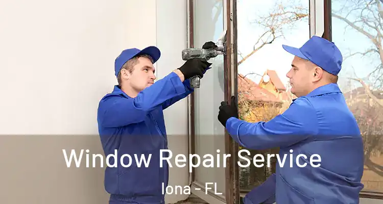  Window Repair Service Iona - FL
