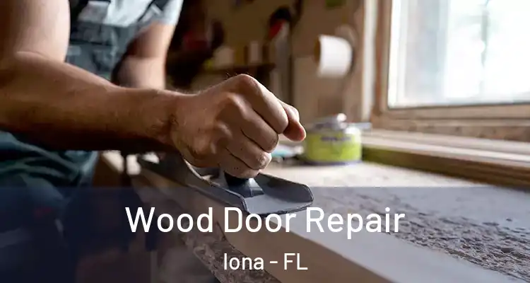  Wood Door Repair Iona - FL
